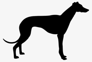 Greyhound Silhouette Clip Art - Greyhound Clipart
