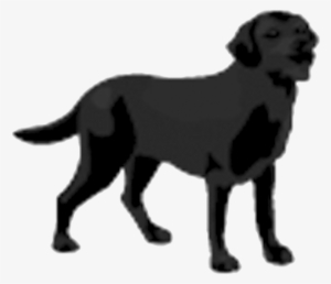 "the Need To Understand Your Options Has Never Been - Black Dog Drawing Transparent