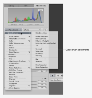 Adjustments Inspector Showing Quick Brush Adjustments - Brush