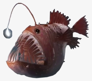 Angler Fish Png - Female Angler Fish Png