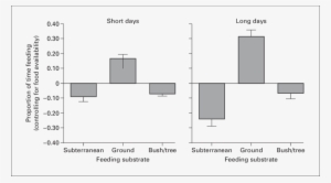 Residual Proportion Of Time Spent Foraging From The - Diagram