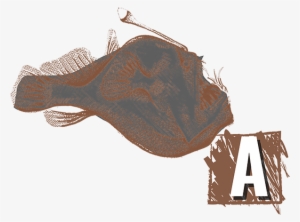Anglerfish - Illustration