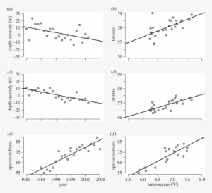 Change In Anglerfish Lophius Piscatorius Showing Greater - Anglerfish
