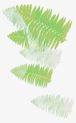 Leaf - Southeast Botanical Gardens