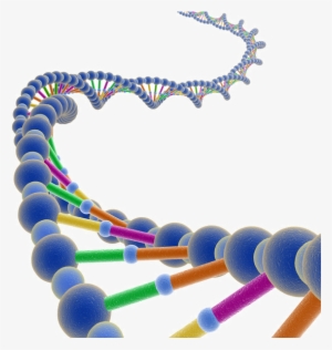 Dna - Molecules Dna