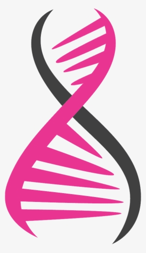 Pink Dna Png