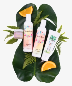 Citrus Kiss Botanical Box - Vasculum