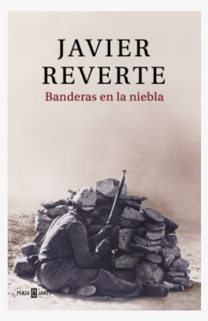 Banderas En La Niebla [book]