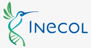 El Santuario Del Bosque De Niebla Forma Parte Del Área - Inecol