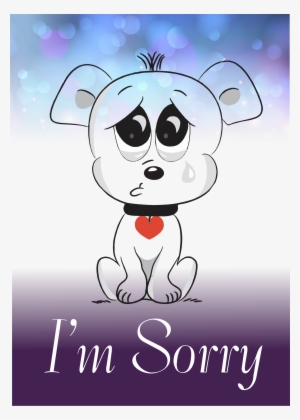 I M Sorry Puppy Face