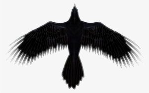 Tour - Seabird