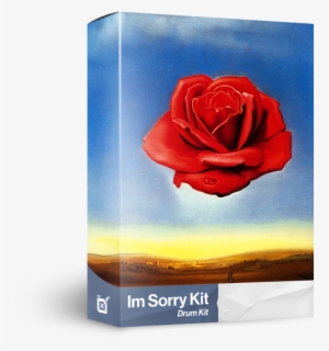 I'm Sorry Kit - La Rosa Meditativa De Salvador Dali
