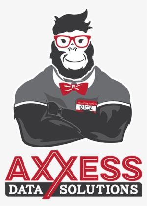 Axxess Data Solutions Logo - Logo