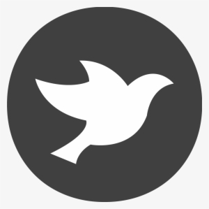 Plpa Web Icon - Icon With Star Inside Circle