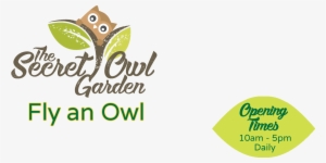 Fly An Owl - Wales