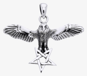 White Bronze Flying Owl Pentagram Pendant - Jewellery