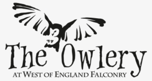 Owl Encounters - Quotes Friend Gossip Behind Your Back