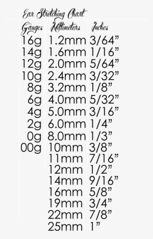 2g Plugs Tumblr - Ear Stretching Sizes 2mm