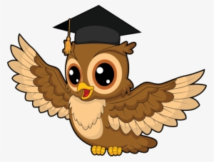 Owl Flying V2 - Owl Science