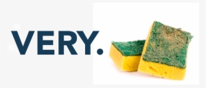 Your Kitchen Sponge Is Very Gross - Sponge