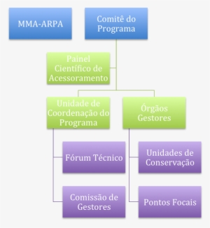 Untitled - Organization