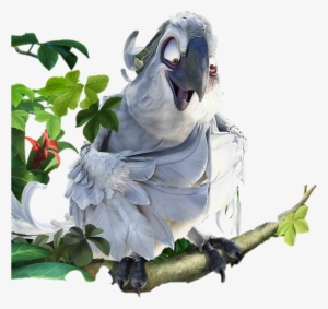 Nigel Evil Plan - Evil Parrot From Rio