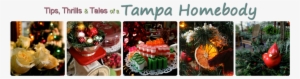 Tampa Homebody - Tampa