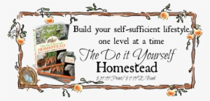 Why Plan And Plant A Medicinal Herb Garden