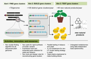 Our Algorithm Will Predict Gene Clusters For Specialized - Diagram