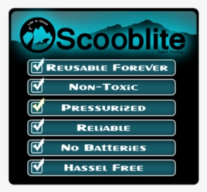 Glow In The Dark Like You've Never Seen Before - Scuba Diving