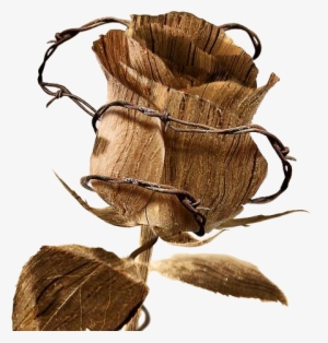 Goth-023 - Diamond In The Rough: Trials And Tribulations