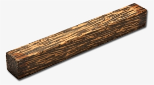 Palm Produces Dense, Stringy Wood That May Vary In - Belc Co., Ltd.