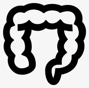 The Image Looks Like A Long Deflated Balloon That Is - Colon Png