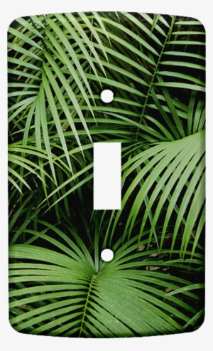 Jungle 330hires - Palms Iphone & Ipod Skin - Iphone 6