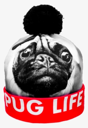 Pug Life Beanie Getonfleek - Hats That Say Pug Life