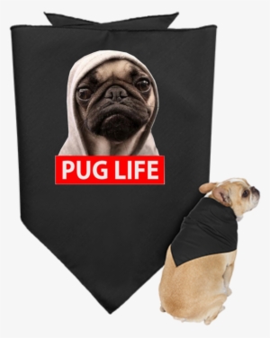 Pug Life - Pug Dog Design Throw Blanket Fleece 58" X 80" (large)
