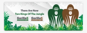 Springsale - Gorilla Budgeting 6 Producer Pack: Download