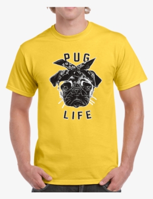 Love It When My Wife Let's Me Buy More