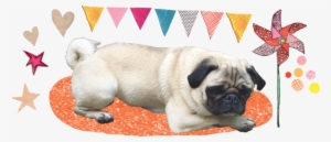 Happiness And Longevity - Dog