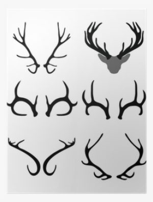 Black Silhouettes Of Horns Of Deer , Vector Poster - Cuernos De Ciervo