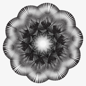 Graphic Design By Ash For This Project - Circle