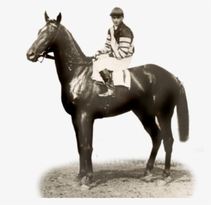 6 Things You May Not Have Known About Man O' War - Man O' War