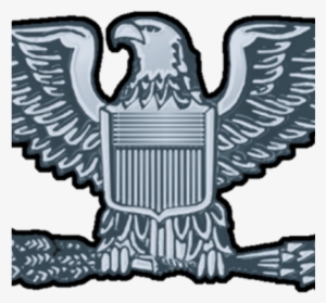 The Colonel - Usaf-col-silver-lighter Aluminum License Plate