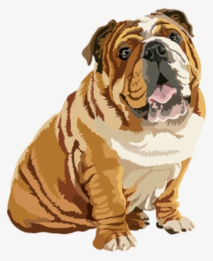 Realistic Dog Art - Dog