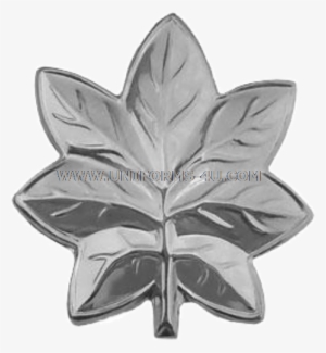 Navy / Uscg Commander And Usmc Lieutenant Colonel Garrison - Usmc Ltcol Rank Insignia