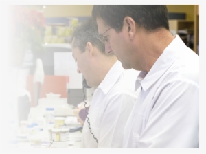 Pharmacy Services Two Pharmacists Working - Event