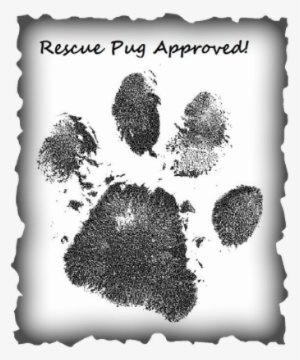 Is A Rescue Pug For Me - Radha Krishna Pencil Shades