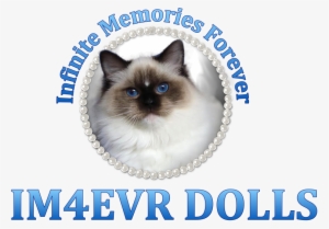 Skip To Content - Privacy Policy