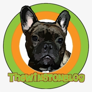 The Winston Blog - French Bulldog