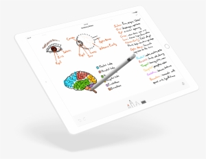 The Sharpest Tools In The Shed - Graffiti